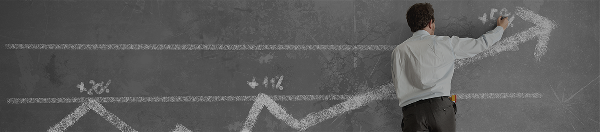 section8 image