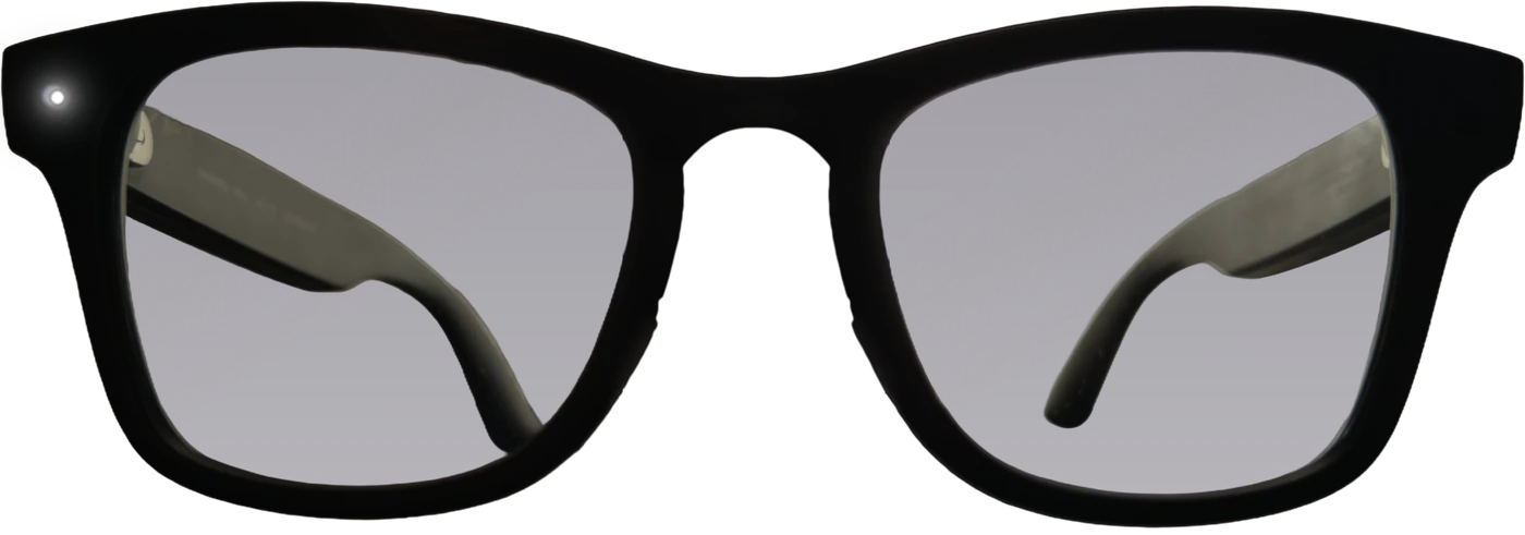 Ray-Ban Meta AI glasses used for a hands-free onsite moving survey